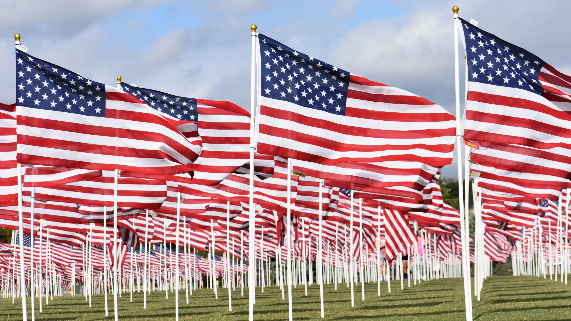 Field of American flags in Texas